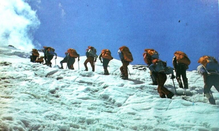 Ношак, 1976